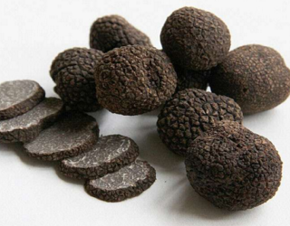 什(shén)麽是(shì)松露？